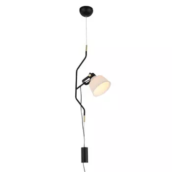 Подвесной светильник ST-Luce SL714.413.01