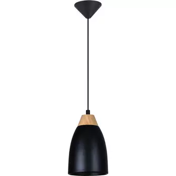 Подвесной светильник TOPLIGHT TL0724H-2B