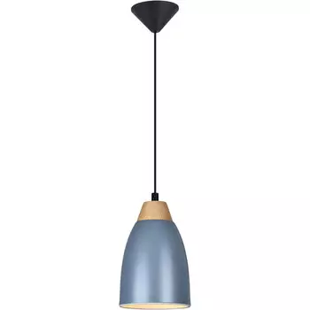 Подвесной светильник TOPLIGHT TL0724H-2N