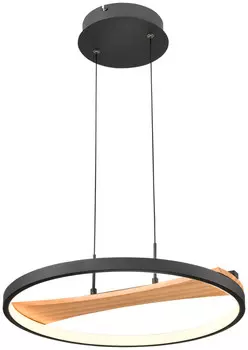 Подвесной светильник VELANTE 450-043-01