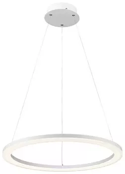 Подвесной светильник WERTMARK WE410.01.003