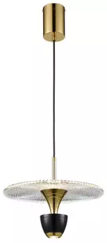 Подвесной светильник WERTMARK WE471.02.366