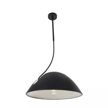 Подвесной светильник Zortes ZRS.1802.50