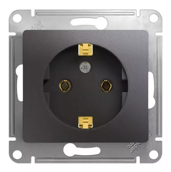 Розетка Schneider Electric GSL001343