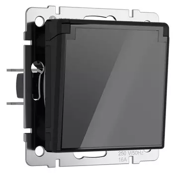 Розетка Werkel W1171248