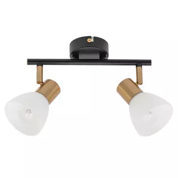 Спот ARTE Lamp A3117PL-2BK