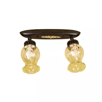 Спот Citilux CL413121