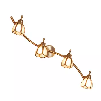 Спот Citilux CL522541