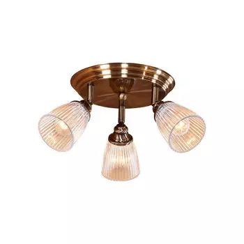 Спот Citilux CL539631