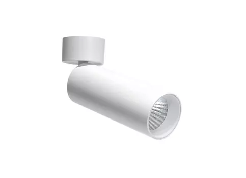 Спот Donolux DL18895R20W1W ST