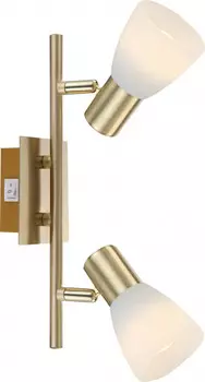 Спот Globo 54538-2