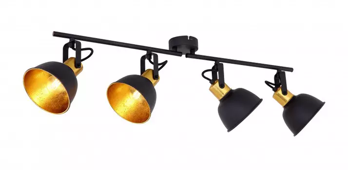 Спот Globo 54655-4