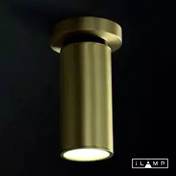 Спот iLamp 8861C BR-BK