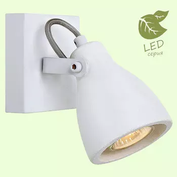 Спот Lussole GRLSP-9822