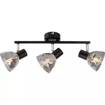 Спот TOPLIGHT TL1234Y-03BL