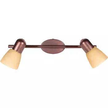 Спот TOPLIGHT TL1235Y-02AB