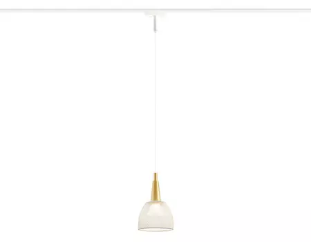 Светильник на шине Ambrella Light GV1652