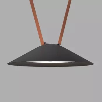 Светильник на шине Denkirs DK5564-BK