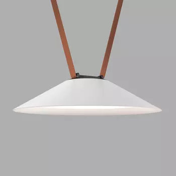 Светильник на шине Denkirs DK5564-WH+BK