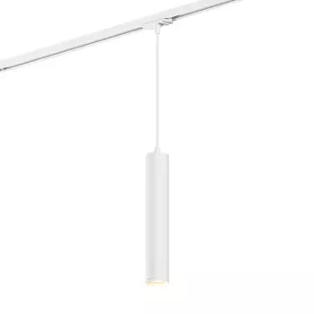 Светильник на шине Denkirs DK6210-WH