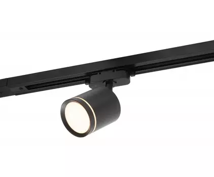 Светильник на шине Denkirs DK6401-BK