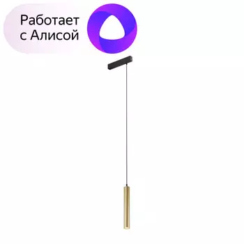 Светильник на шине Denkirs DK8008-BG