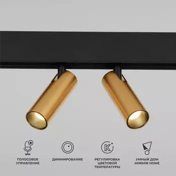 Светильник на шине Elektrostandard 85056/01 Slim Magnetic (латунь)