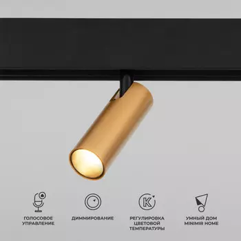 Светильник на шине Elektrostandard 85070/01 Slim Magnetic (латунь)