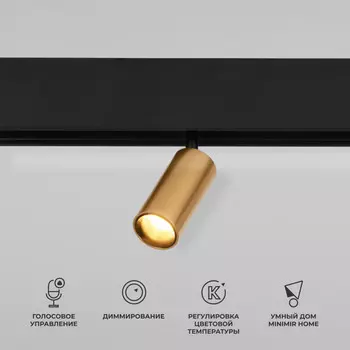 Светильник на шине Elektrostandard 85071/01 Slim Magnetic (латунь)