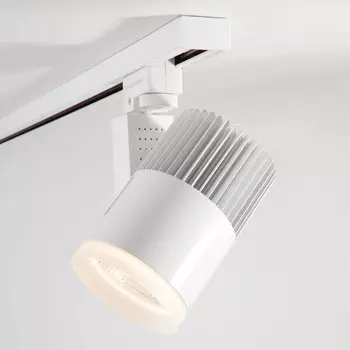 Светильник на шине Elektrostandard Accord Белый 30W 4200K (LTB43) трехфазный