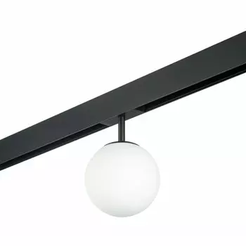 Светильник на шине Lightstar PRO110107