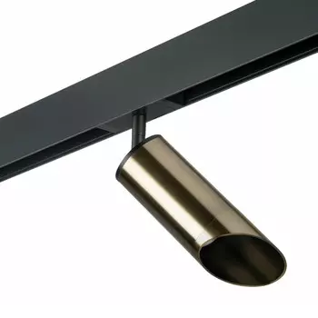 Светильник на шине Lightstar PRO431431