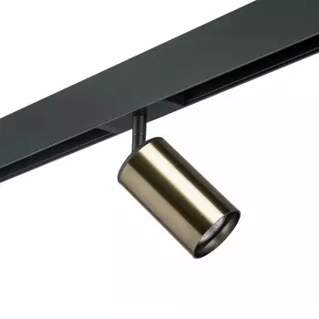 Светильник на шине Lightstar PRO431