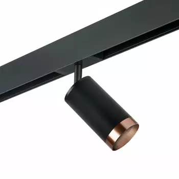Светильник на шине Lightstar PRO437430