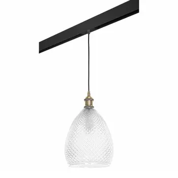 Светильник на шине Lightstar PRO798021