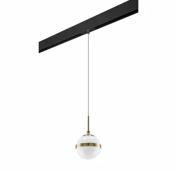 Светильник на шине Lightstar PRO813111