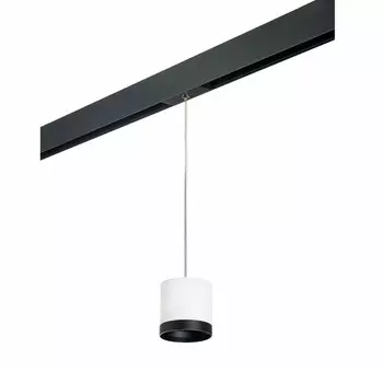 Светильник на шине Lightstar PRORP34863487