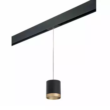 Светильник на шине Lightstar PRORP348790