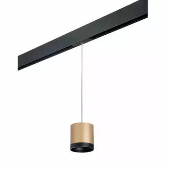 Светильник на шине Lightstar PRORP34903487