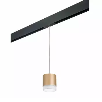 Светильник на шине Lightstar PRORP349080