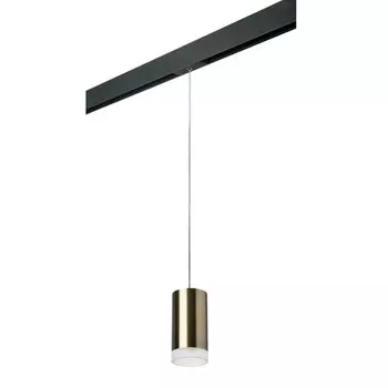 Светильник на шине Lightstar PRORP43130