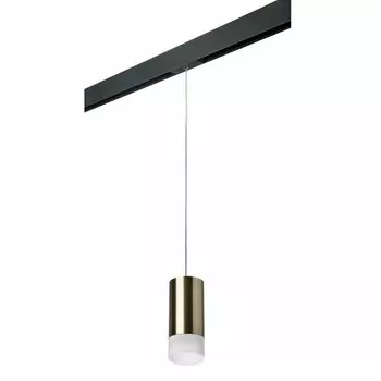 Светильник на шине Lightstar PRORP43131