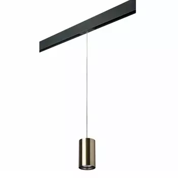 Светильник на шине Lightstar PRORP431