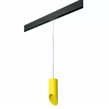 Светильник на шине Lightstar PRORP43333