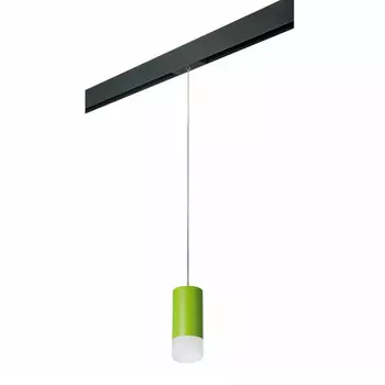 Светильник на шине Lightstar PRORP43431