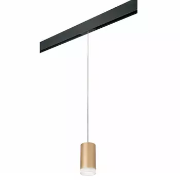 Светильник на шине Lightstar PRORP44030