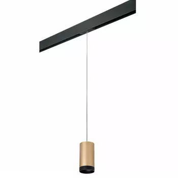 Светильник на шине Lightstar PRORP440437
