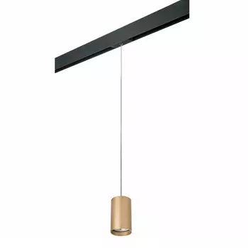 Светильник на шине Lightstar PRORP440
