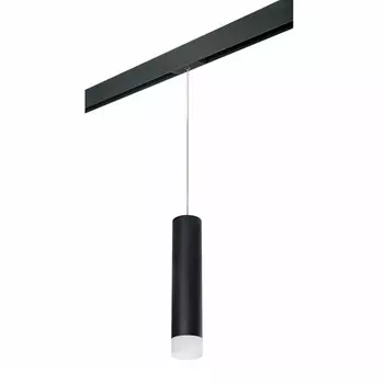 Светильник на шине Lightstar PRORP49731