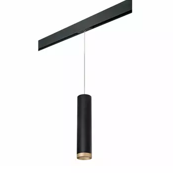Светильник на шине Lightstar PRORP49740
